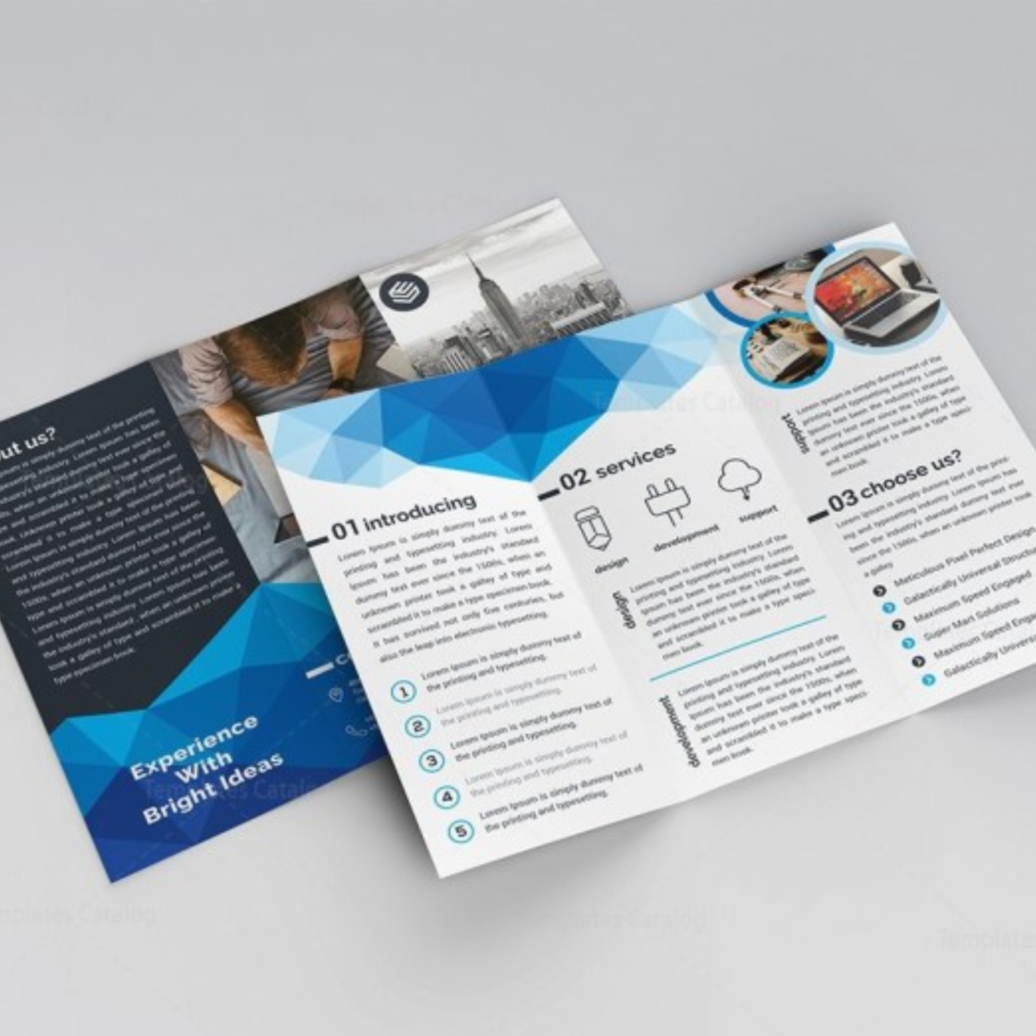 brochure (1)